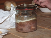 liczenie-zwierzyny-038