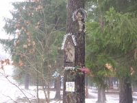 liczenie-zwierzyny-056