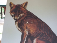 mistrzostwa-polski-052