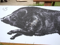 mistrzostwa-polski-057