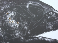 mistrzostwa-polski-073