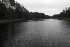 DSCN1735