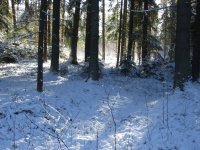 strabla-8-12-2013r-055