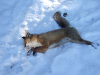 strabla-8-12-2013r-077