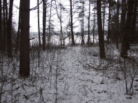 zbiorowo-084